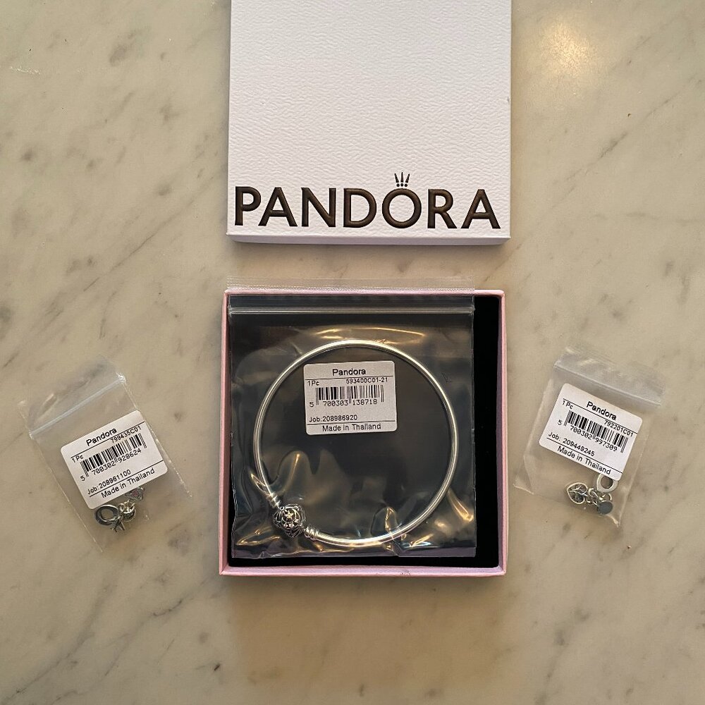 Pandora Bracelet Plus Two Charms (NWT)